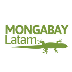 Mongabay Latam