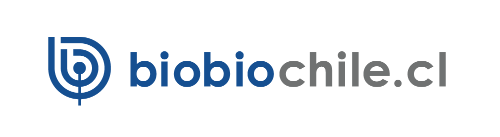 imagen de BioBioChile